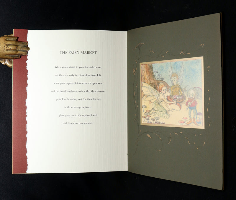 2009 Scarce Signed First Edition - The Fairy Market by Charles van Sandwyk