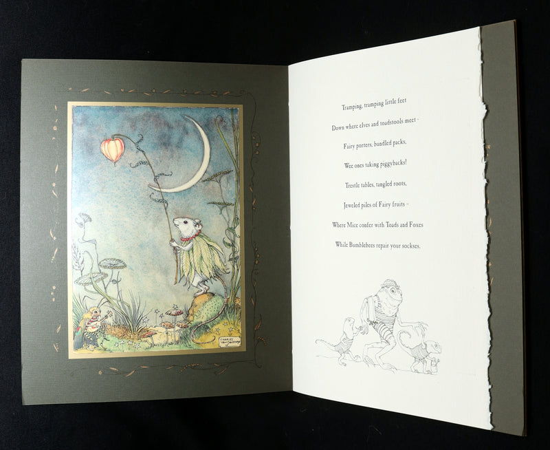 2009 Scarce Signed First Edition - The Fairy Market by Charles van Sandwyk