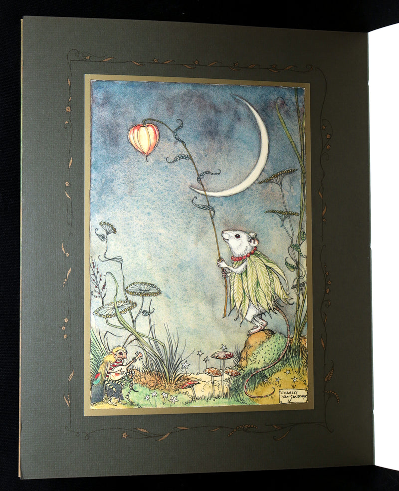 2009 Scarce Signed First Edition - The Fairy Market by Charles van Sandwyk