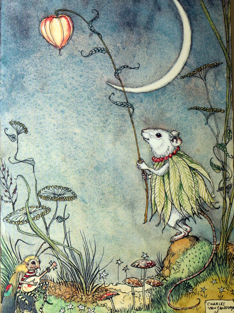 2009 Scarce Signed First Edition - The Fairy Market by Charles van Sandwyk