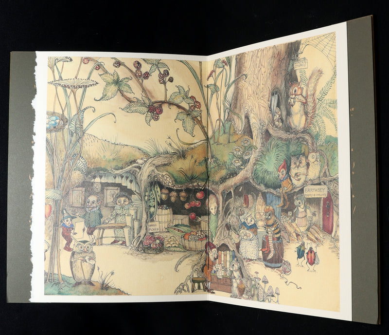 2009 Scarce Signed First Edition - The Fairy Market by Charles van Sandwyk