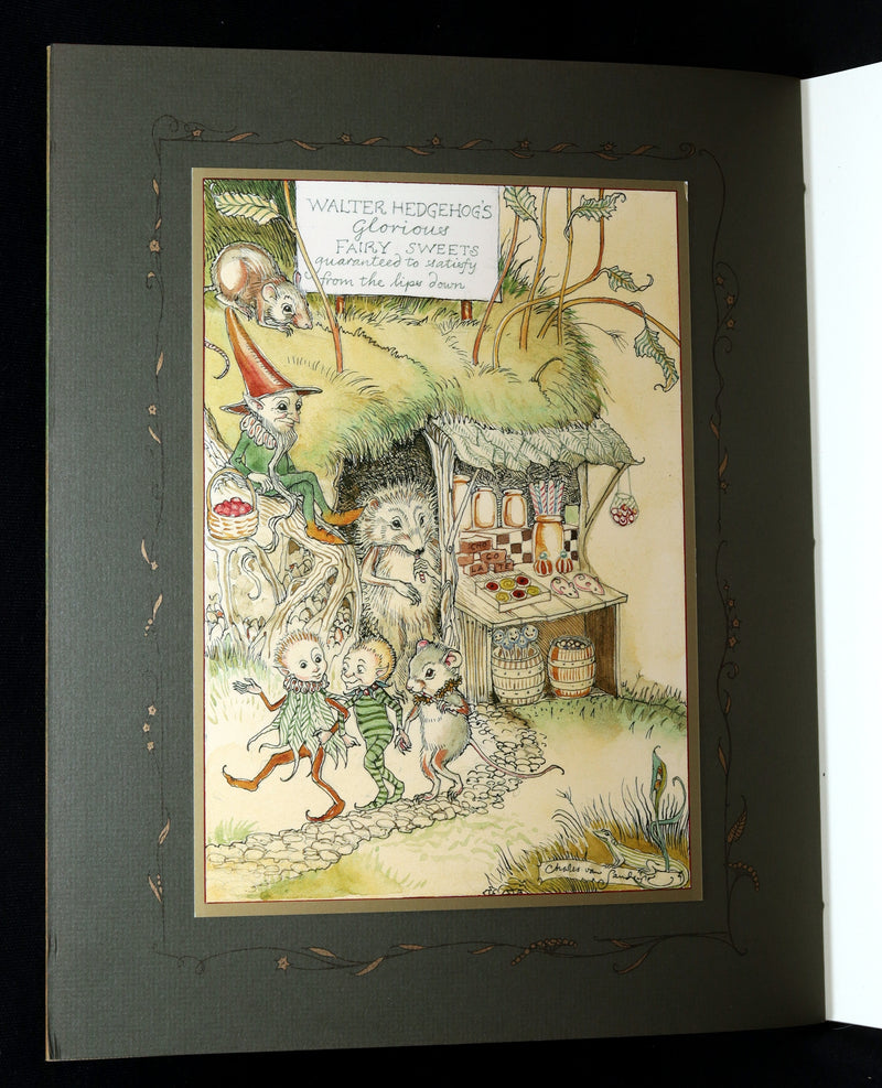 2009 Scarce Signed First Edition - The Fairy Market by Charles van Sandwyk