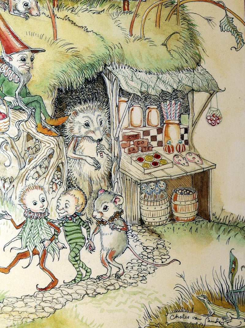 2009 Scarce Signed First Edition - The Fairy Market by Charles van Sandwyk