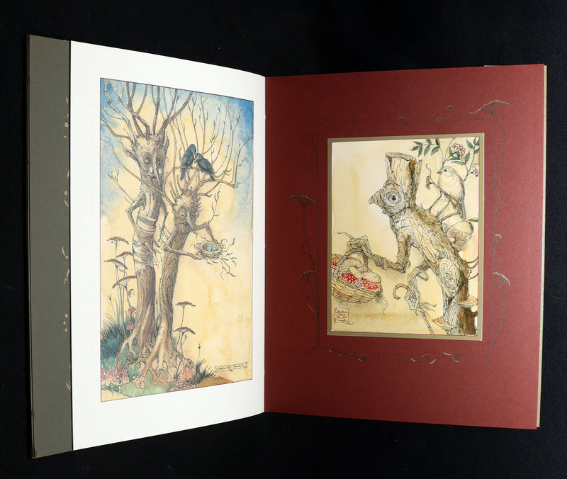 2009 Scarce Signed First Edition - The Fairy Market by Charles van Sandwyk