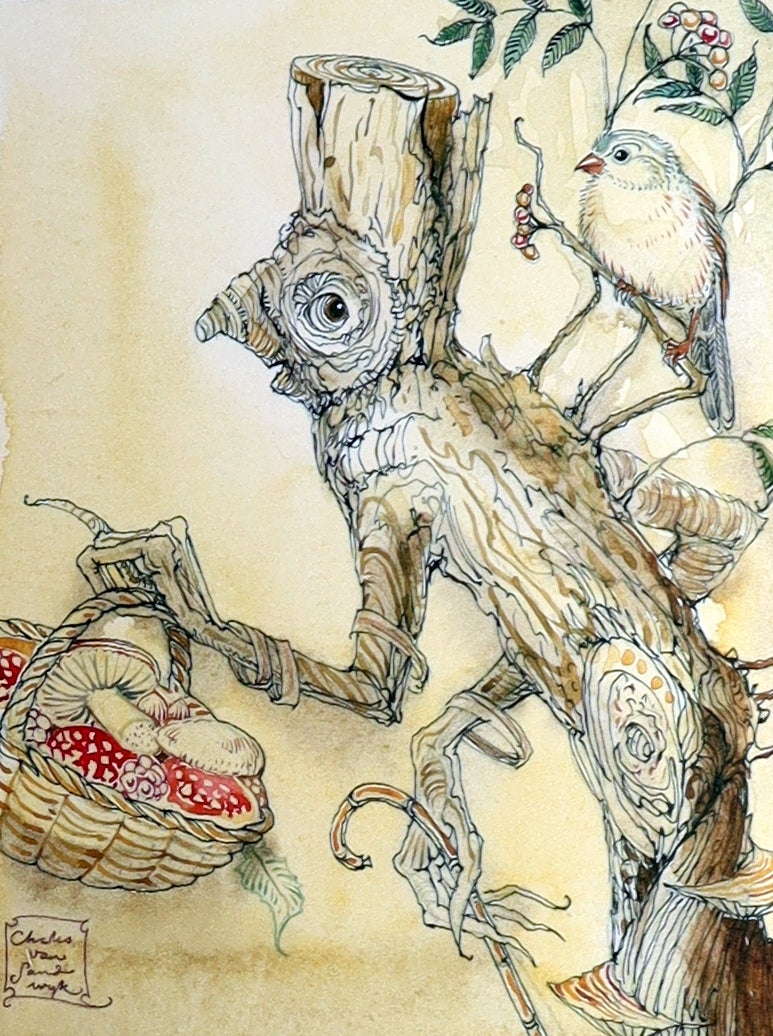 2009 Scarce Signed First Edition - The Fairy Market by Charles van Sandwyk