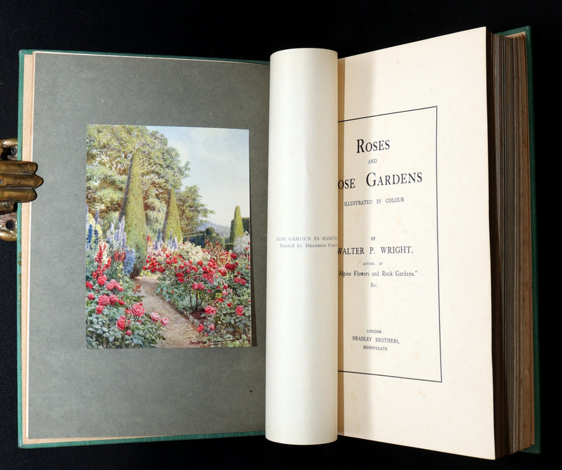 1914 Rare Book - Roses and Rose Gardens by Walter P. Wright, Illustrated