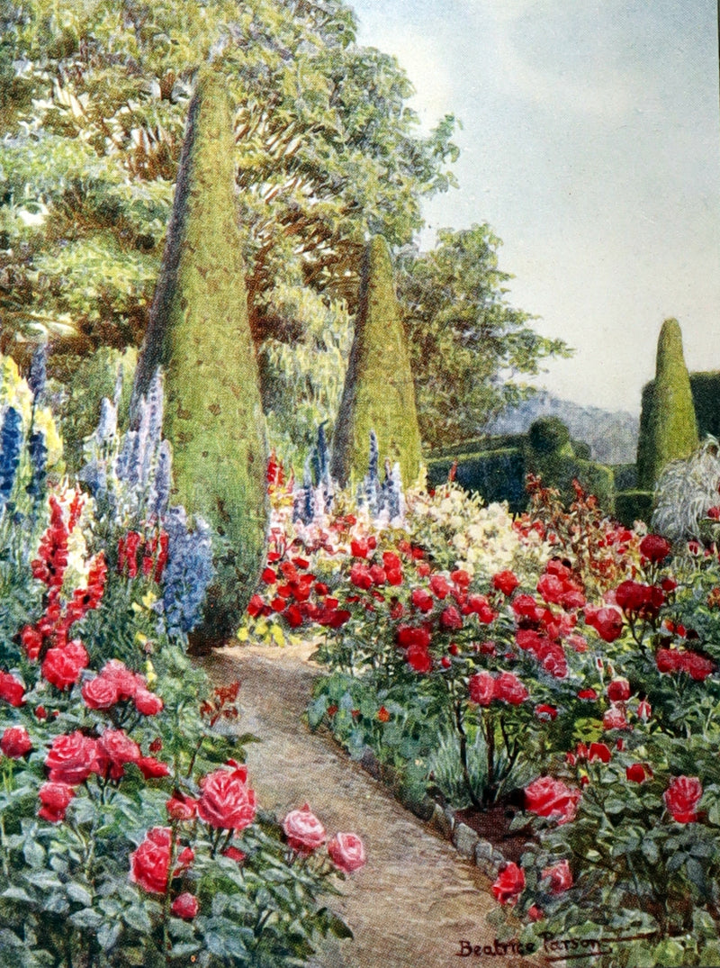 1914 Rare Book - Roses and Rose Gardens by Walter P. Wright, Illustrated