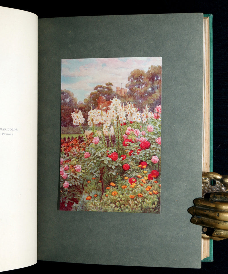 1914 Rare Book - Roses and Rose Gardens by Walter P. Wright, Illustrated