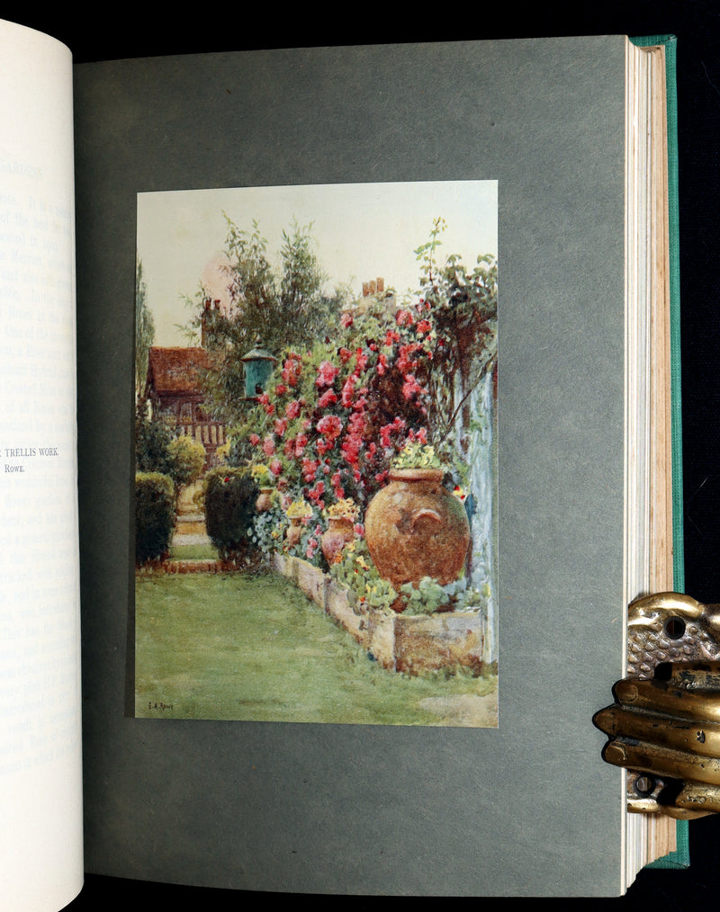 1914 Rare Book - Roses and Rose Gardens by Walter P. Wright, Illustrated