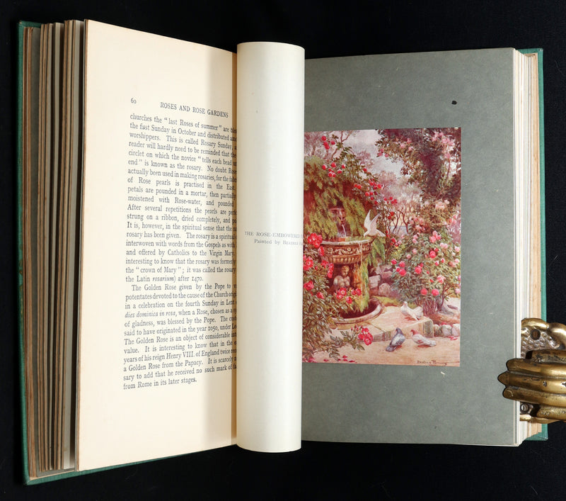 1914 Rare Book - Roses and Rose Gardens by Walter P. Wright, Illustrated