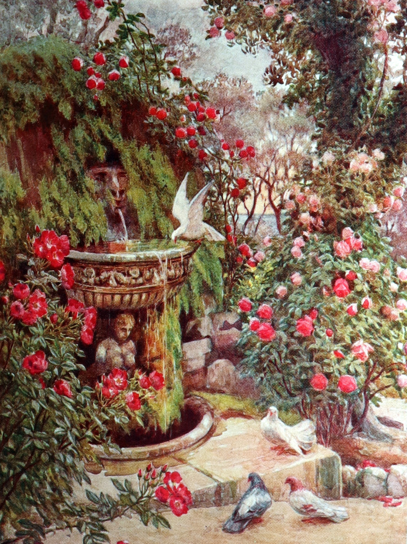 1914 Rare Book - Roses and Rose Gardens by Walter P. Wright, Illustrated