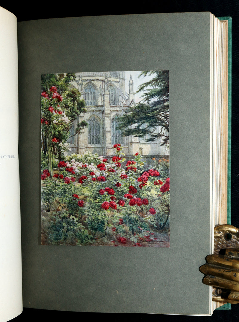 1914 Rare Book - Roses and Rose Gardens by Walter P. Wright, Illustrated