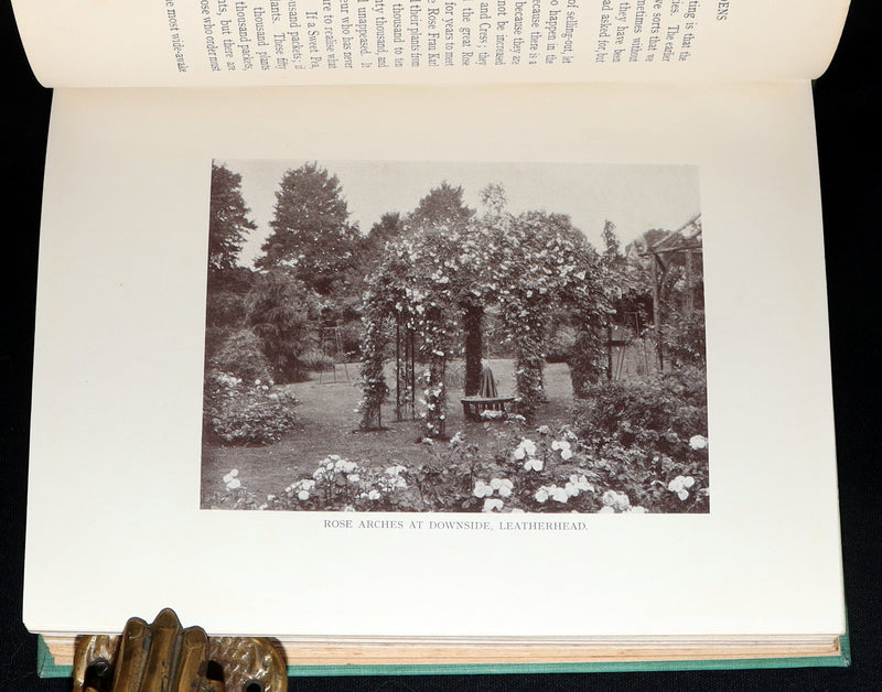 1914 Rare Book - Roses and Rose Gardens by Walter P. Wright, Illustrated
