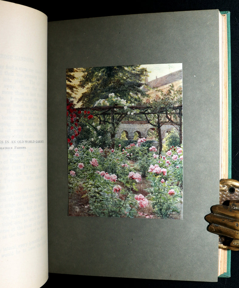 1914 Rare Book - Roses and Rose Gardens by Walter P. Wright, Illustrated