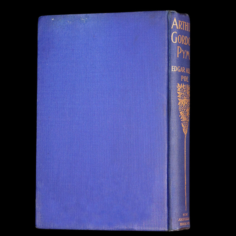 1889 Rare Book - Arthur Gordon Pym by Edgar Allan Poe, Illustrated by McCormick