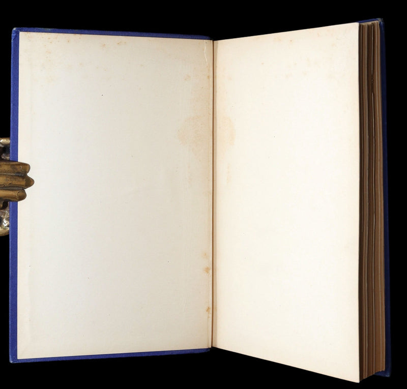 1889 Rare Book - Arthur Gordon Pym by Edgar Allan Poe, Illustrated by McCormick
