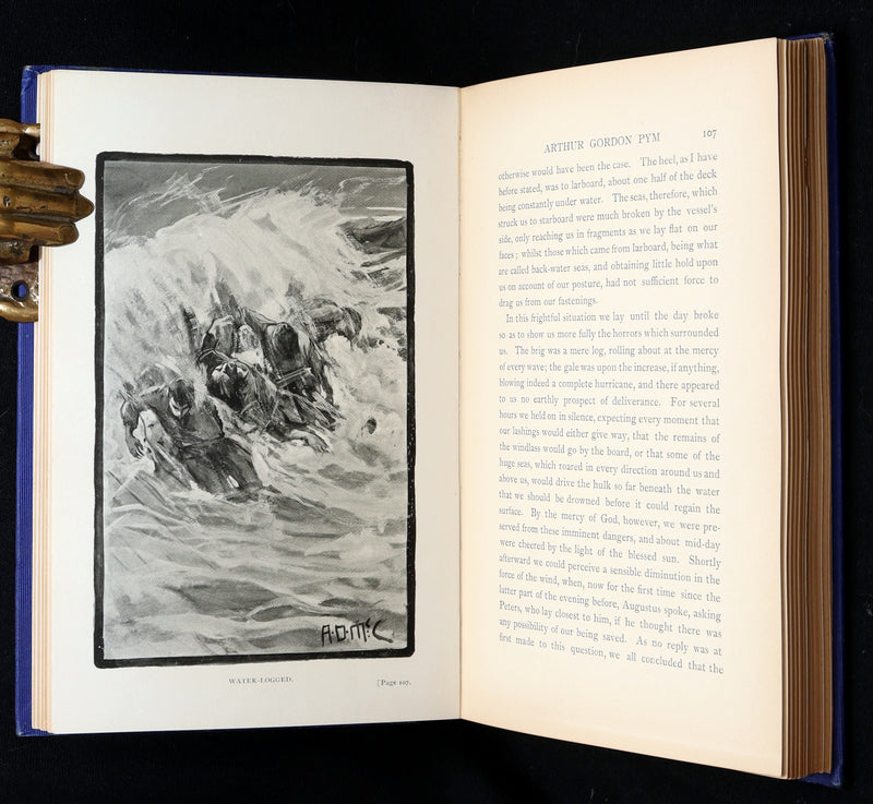 1889 Rare Book - Arthur Gordon Pym by Edgar Allan Poe, Illustrated by McCormick