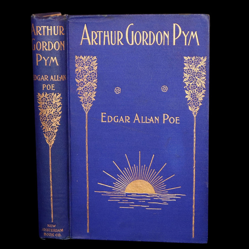 1889 Rare Book - Arthur Gordon Pym by Edgar Allan Poe, Illustrated by McCormick