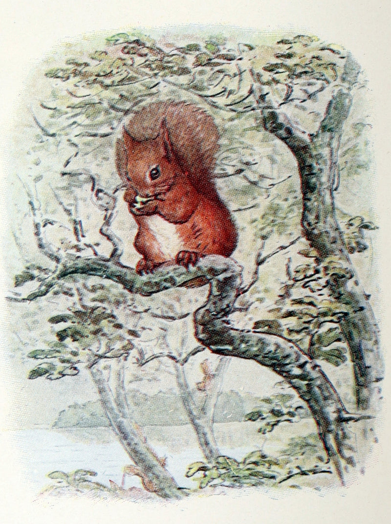 1910 Rare Book - The Tale of Squirrel Nutkin by Beatrix Potter