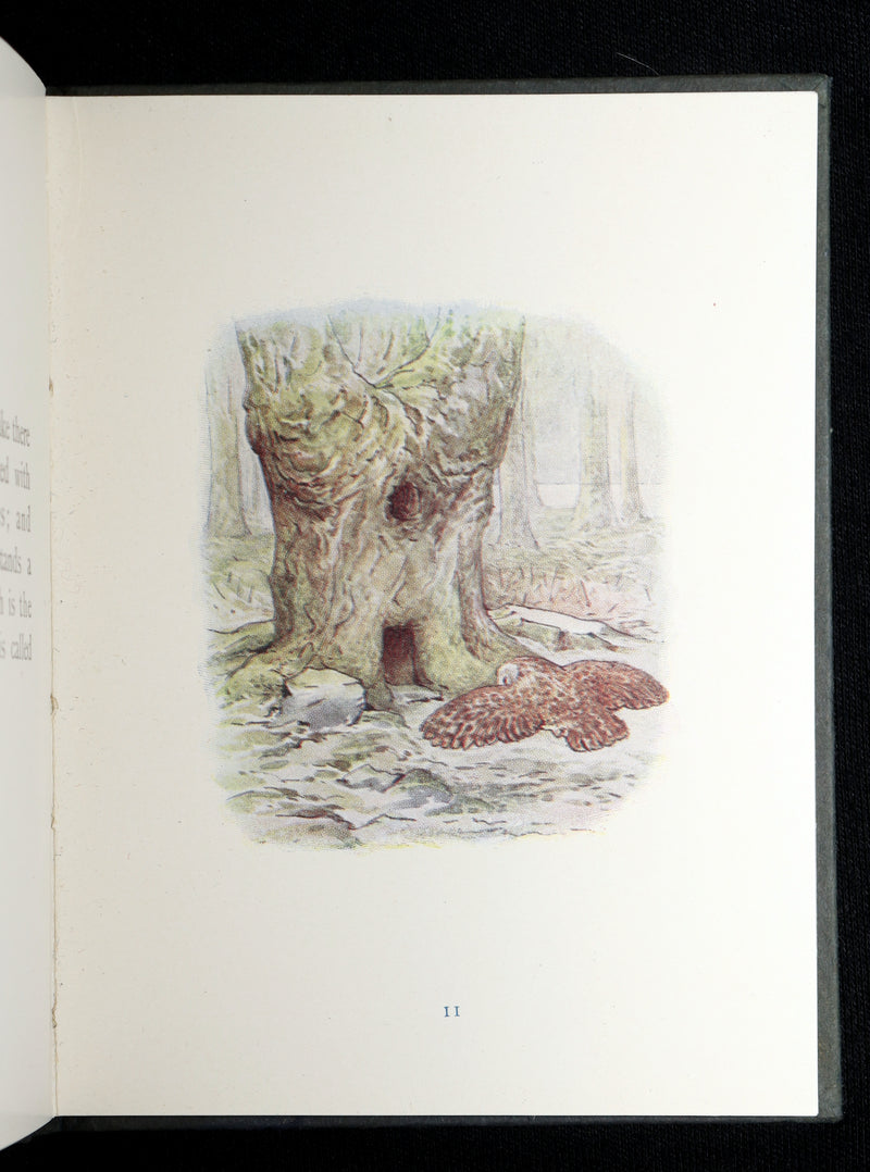 1910 Rare Book - The Tale of Squirrel Nutkin by Beatrix Potter