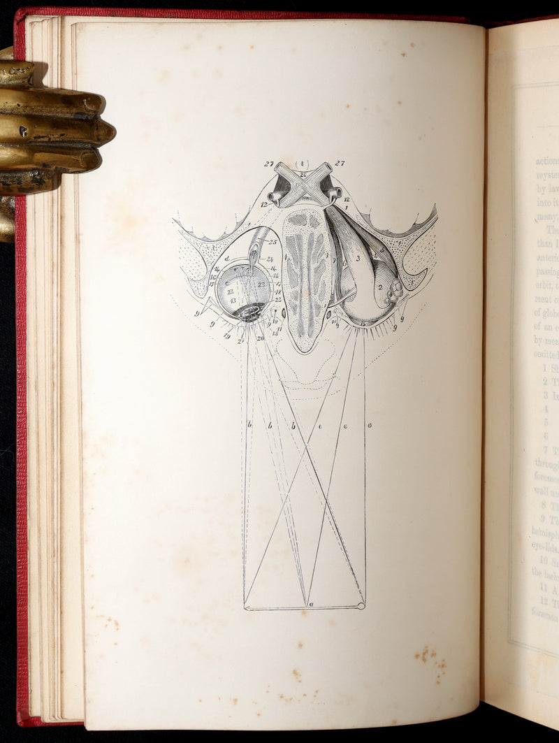 1856 Rare Victorian Treatise on Physiognomy - Language of the Eye by J. Turnley