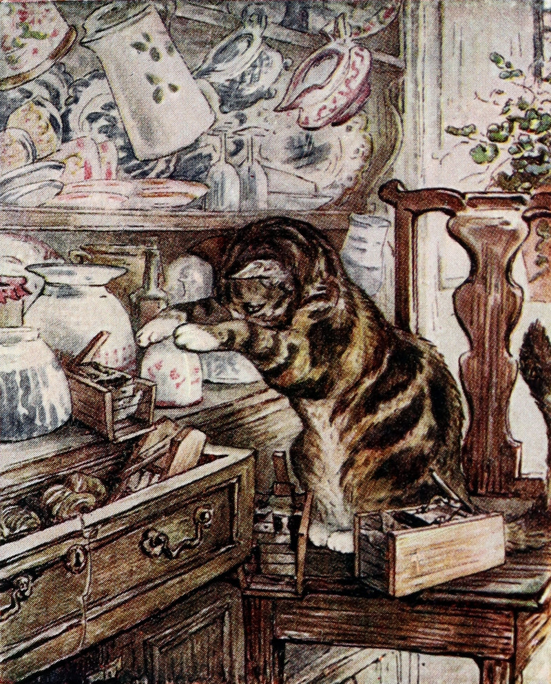 1910 Rare Early Edition - The Tailor of Gloucester by Beatrix Potter