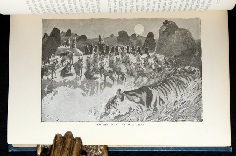 1896 Rare Book - The Jungle Book by Rudyard Kipling, First Edition, 5th Printing