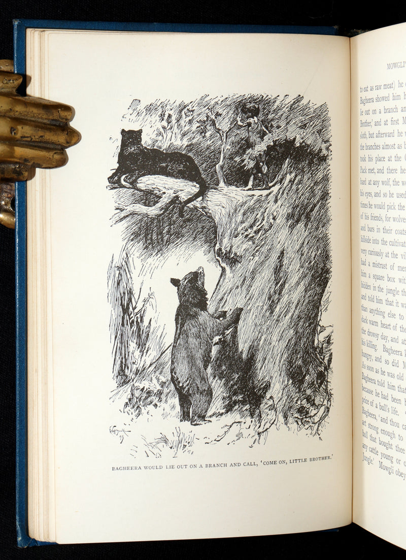1896 Rare Book - The Jungle Book by Rudyard Kipling, First Edition, 5th Printing