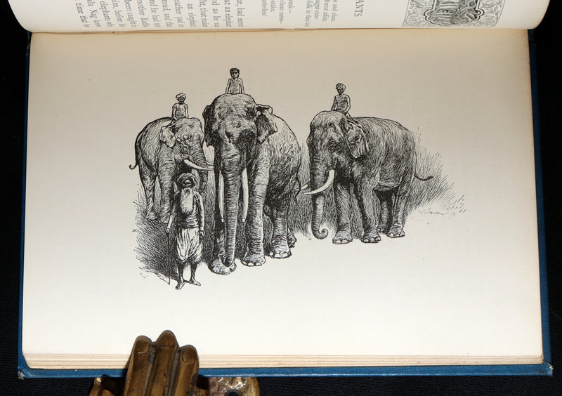 1896 Rare Book - The Jungle Book by Rudyard Kipling, First Edition, 5th Printing