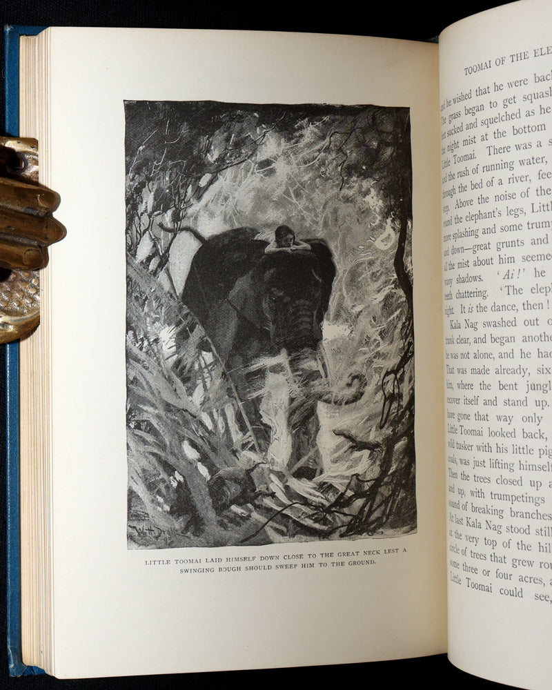 1896 Rare Book - The Jungle Book by Rudyard Kipling, First Edition, 5th Printing