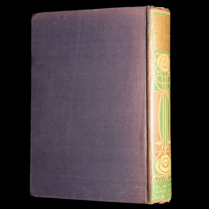 1911 Scarce Binding - At the Back of the North Wind by George MacDonald