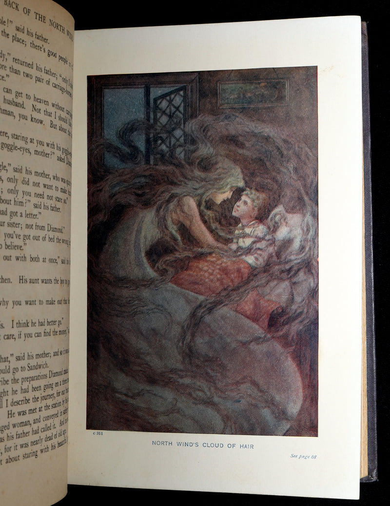 1911 Scarce Binding - At the Back of the North Wind by George MacDonald