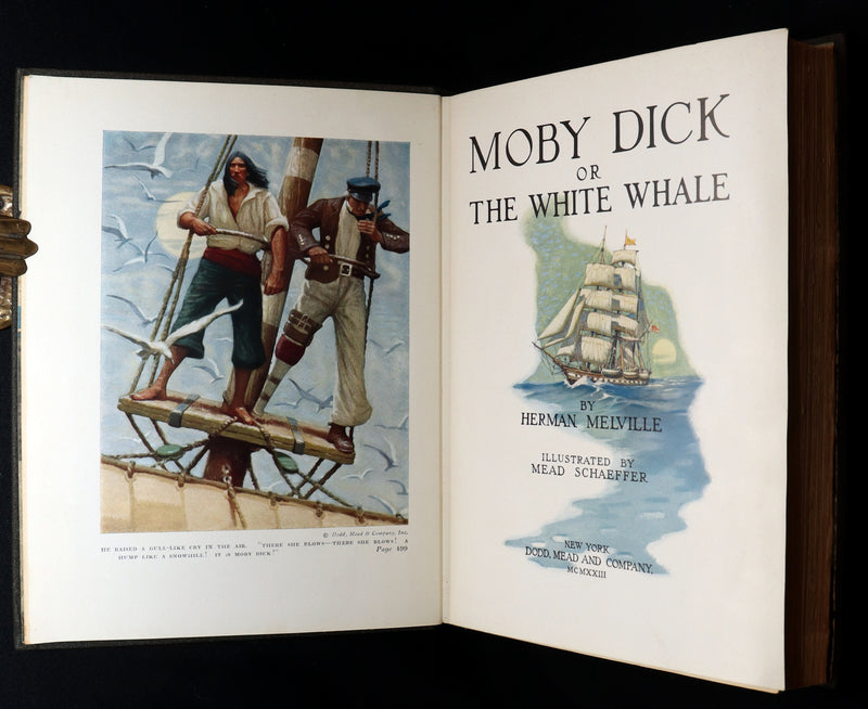 1923 Rare Book - Moby Dick or The White Whale illustrated by Mead Schaeffer