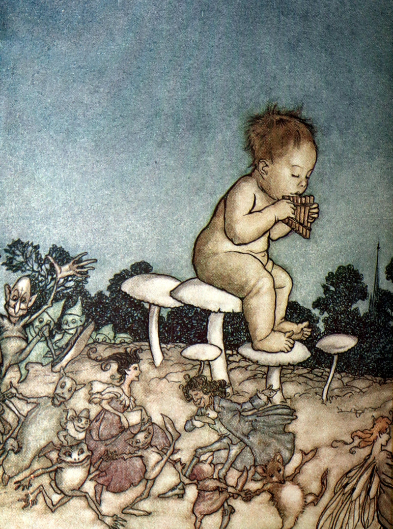 1920 Beautiful Binding - Peter Pan in Kensington Gardens Illustrated by Rackham