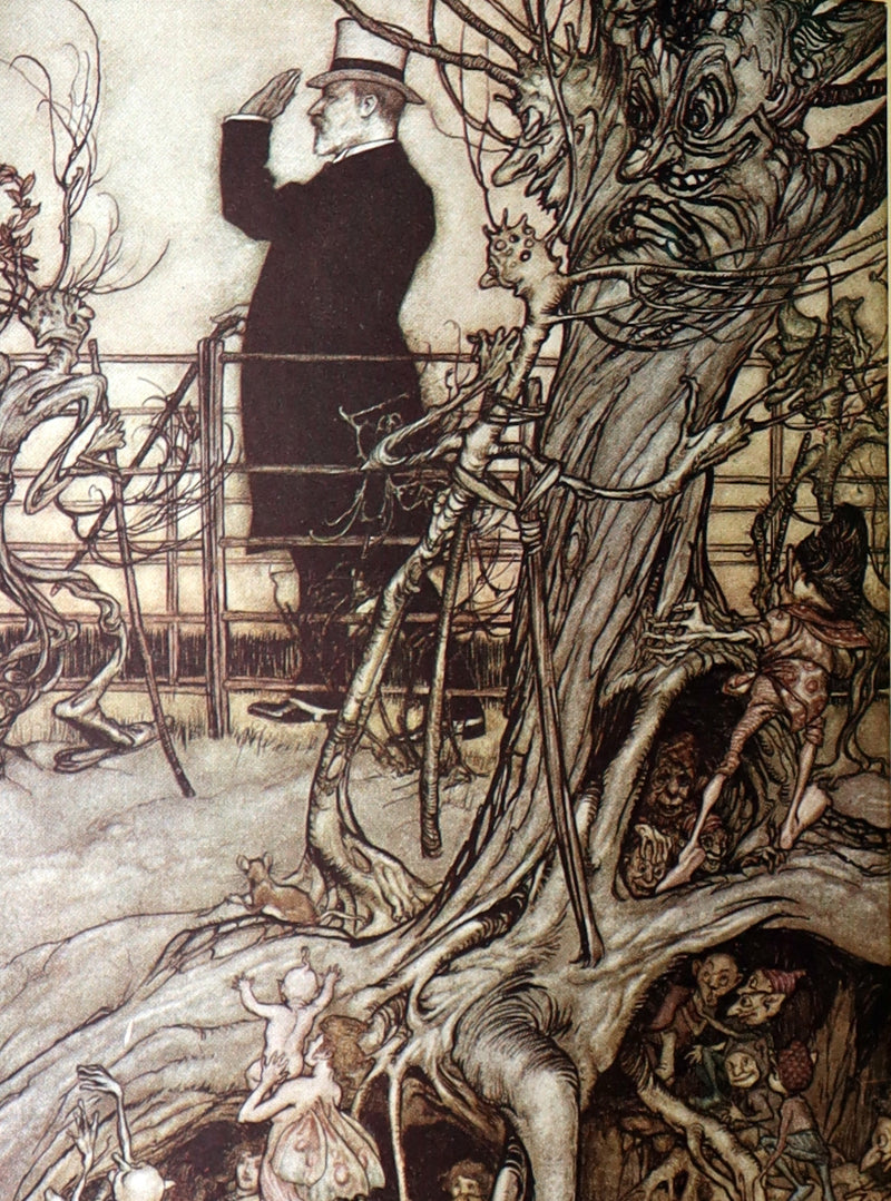 1920 Beautiful Binding - Peter Pan in Kensington Gardens Illustrated by Rackham