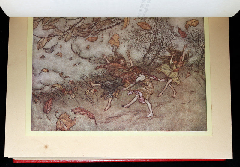 1920 Beautiful Binding - Peter Pan in Kensington Gardens Illustrated by Rackham