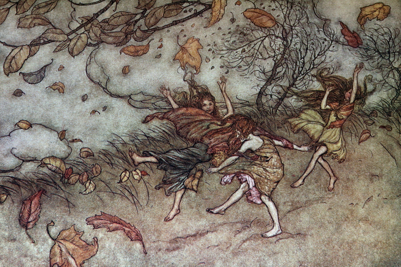 1920 Beautiful Binding - Peter Pan in Kensington Gardens Illustrated by Rackham