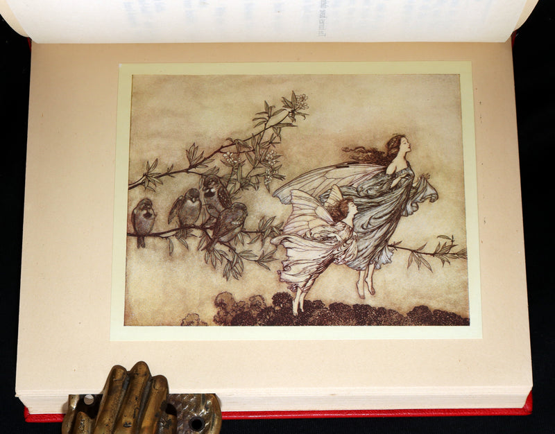 1920 Beautiful Binding - Peter Pan in Kensington Gardens Illustrated by Rackham