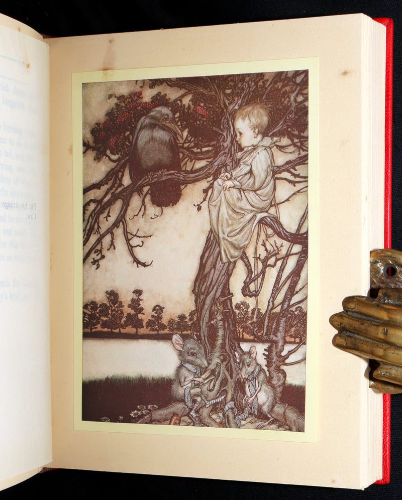 1920 Beautiful Binding - Peter Pan in Kensington Gardens Illustrated by Rackham