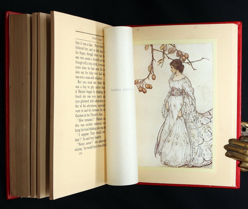 1920 Beautiful Binding - Peter Pan in Kensington Gardens Illustrated by Rackham
