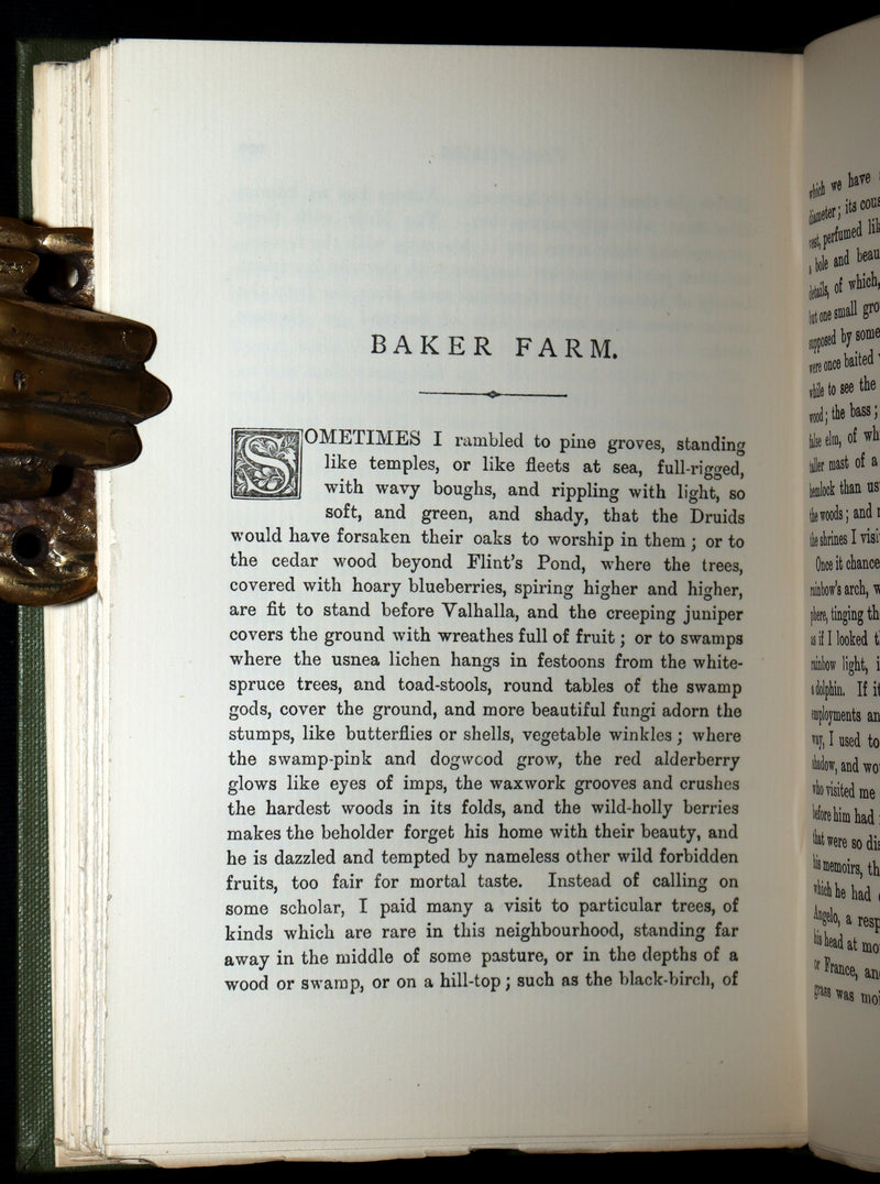 1886 Rare Victorian Book - Walden, or Life in the Woods by Henry David Thoreau