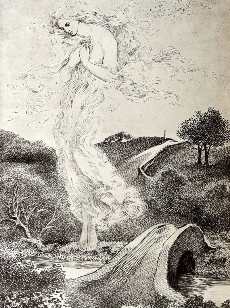 1900 Rare Book - At the Back of the North Wind by George MacDonald illustrated