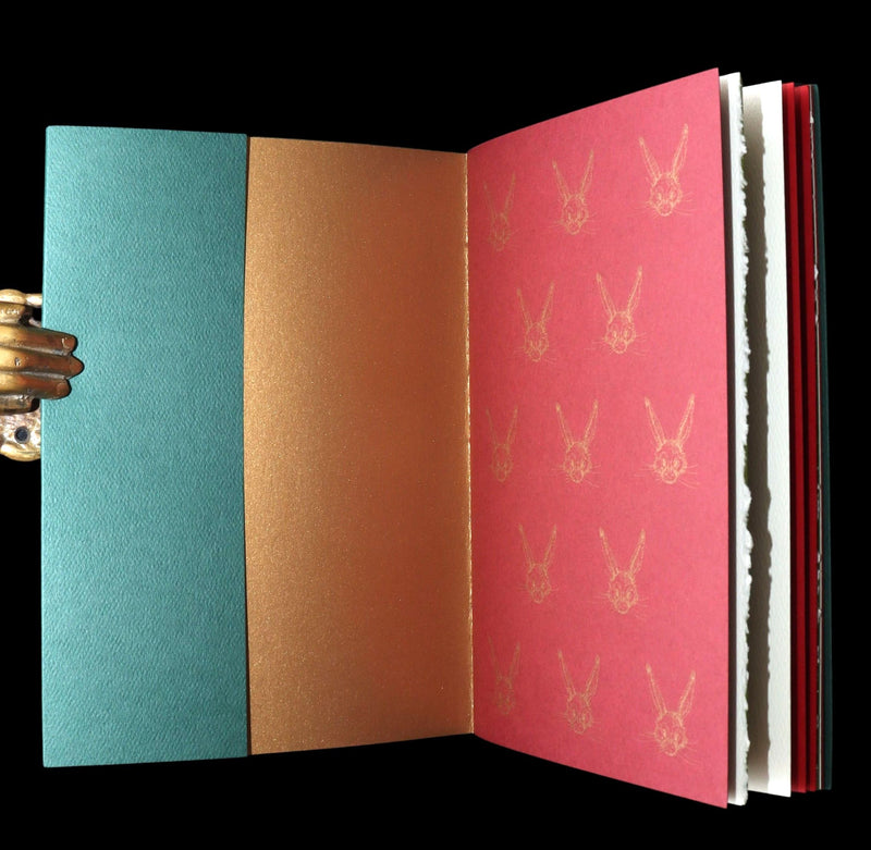 2007 Rare Edition - Mr. Rabbit's Christmas Wish by Charles van Sandwyk