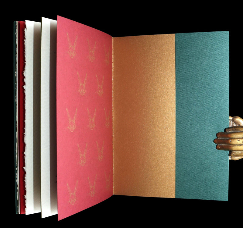 2007 Rare Edition - Mr. Rabbit's Christmas Wish by Charles van Sandwyk