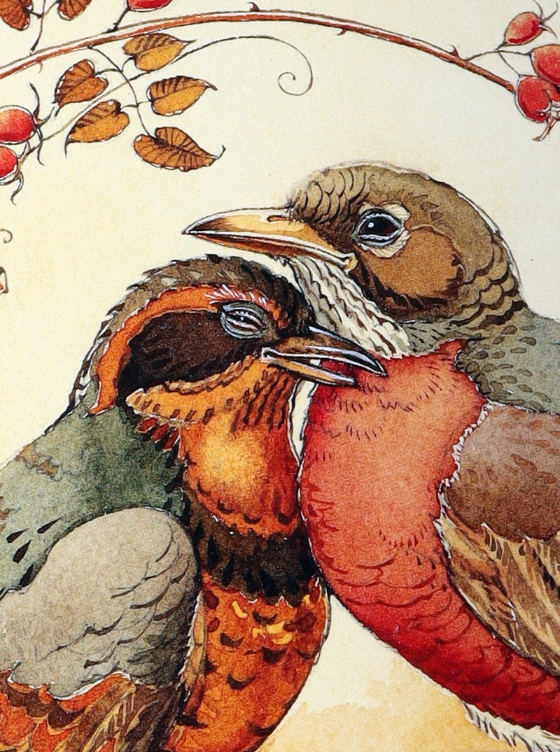 2019 Rare Book - Affairs Of The Heart Illustrated by Charles van Sandwyk