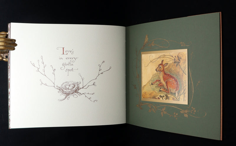 2019 Rare Book - Affairs Of The Heart Illustrated by Charles van Sandwyk