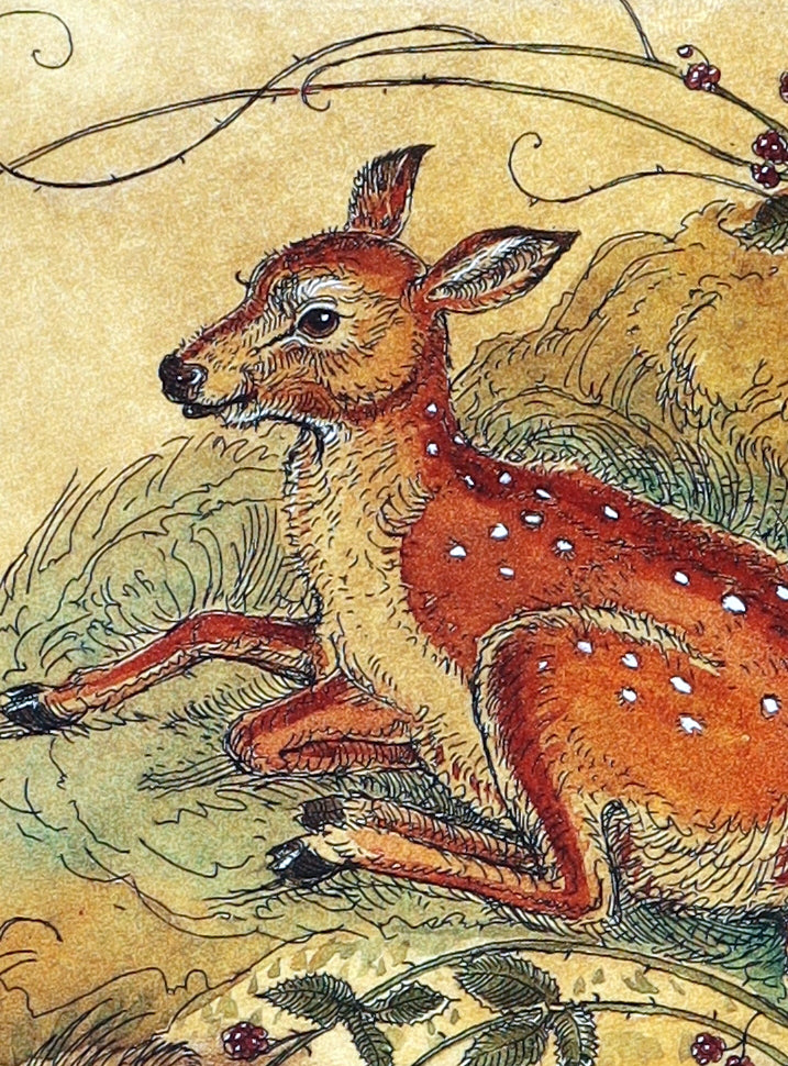 2019 Rare Book - Affairs Of The Heart Illustrated by Charles van Sandwyk