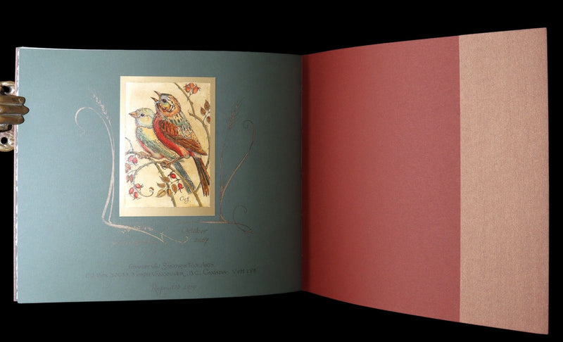 2019 Rare Book - Affairs Of The Heart Illustrated by Charles van Sandwyk