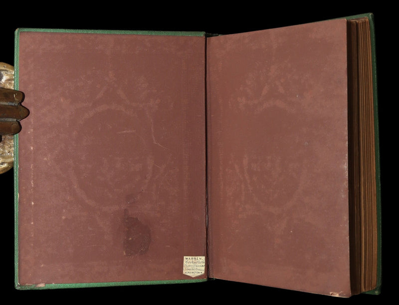 1868 Scarce Book - Dealings with the Fairies by George Macdonald, Illustrated