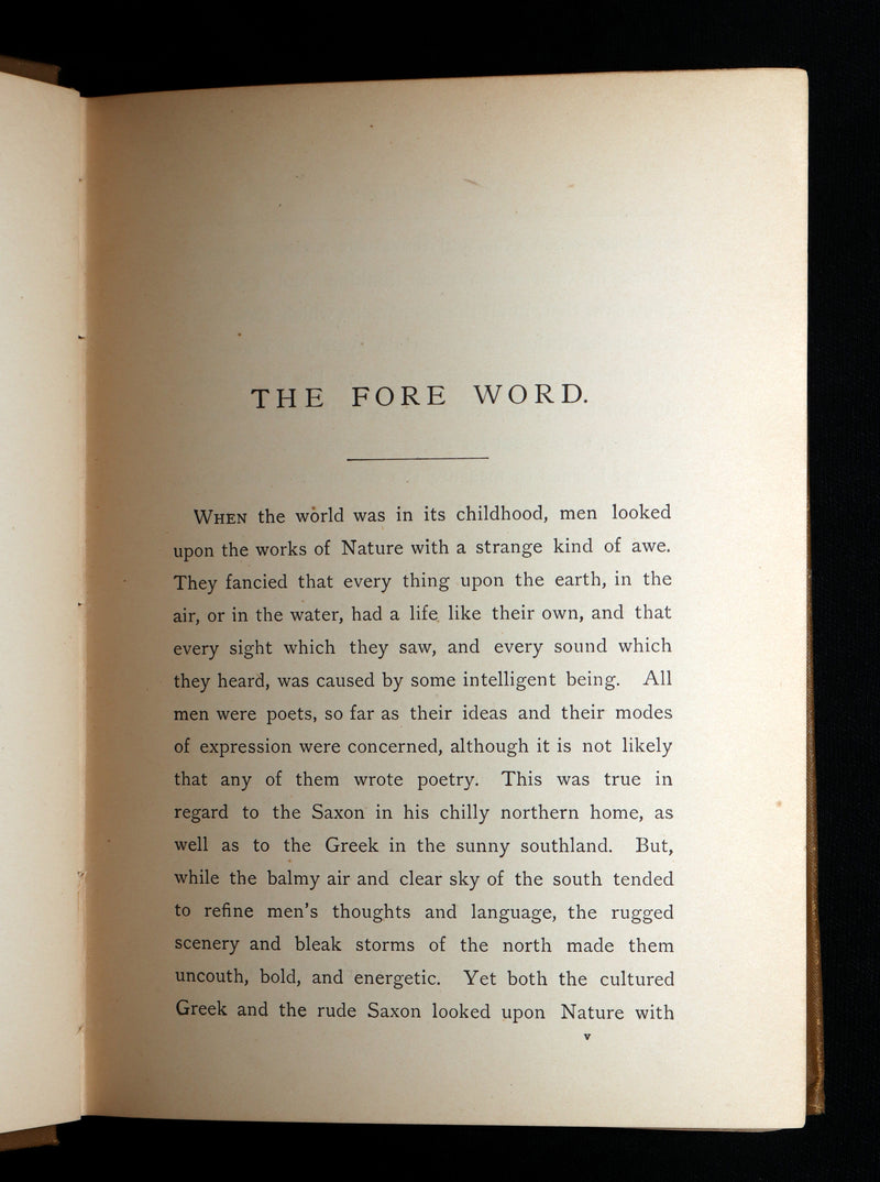 1882 Rare First Edition - The Story of Siegfried illustrated by Howard Pyle